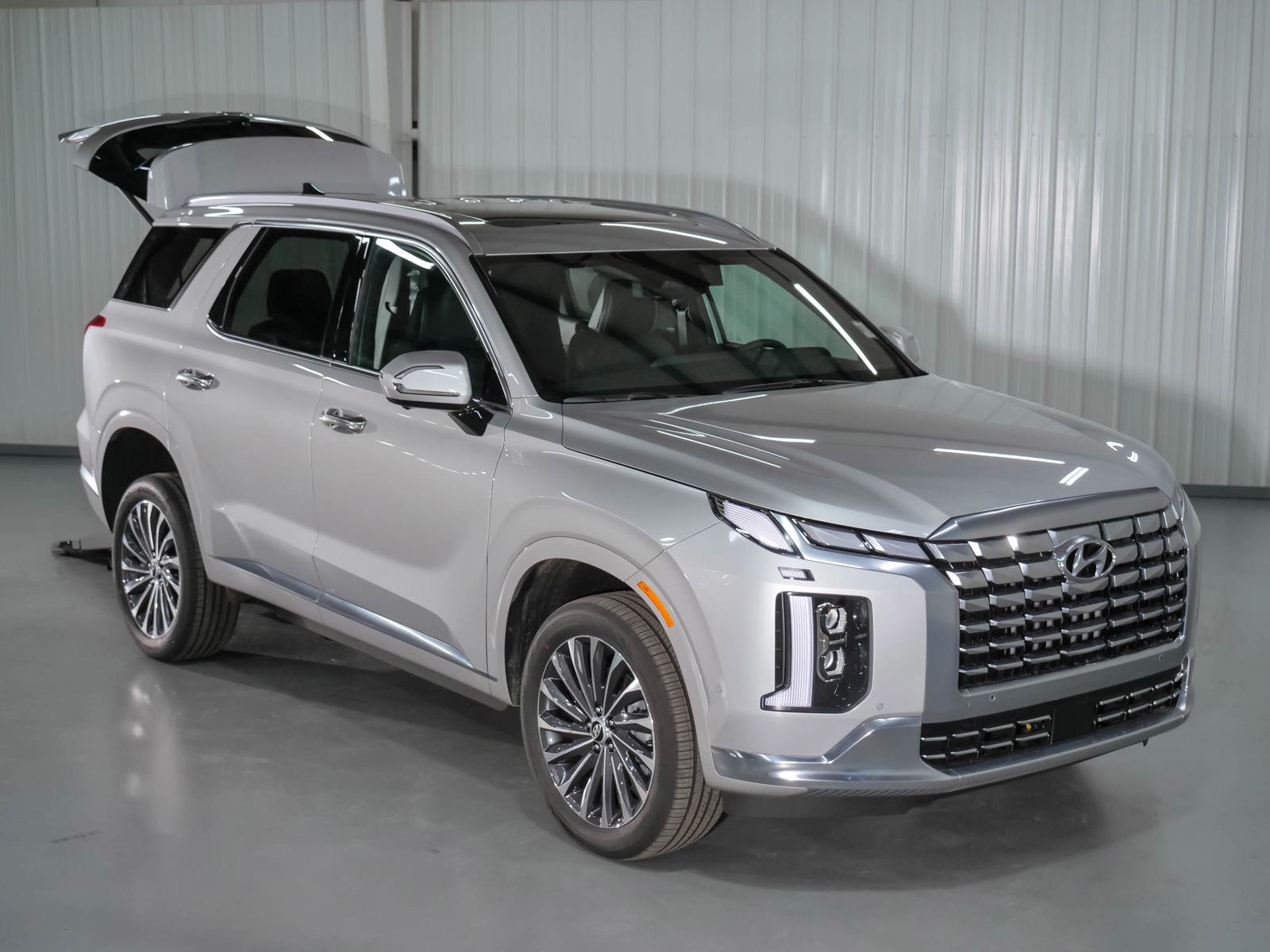 Hyundai Palisade Calligraphy Park Assist Feature for Wheelchair 